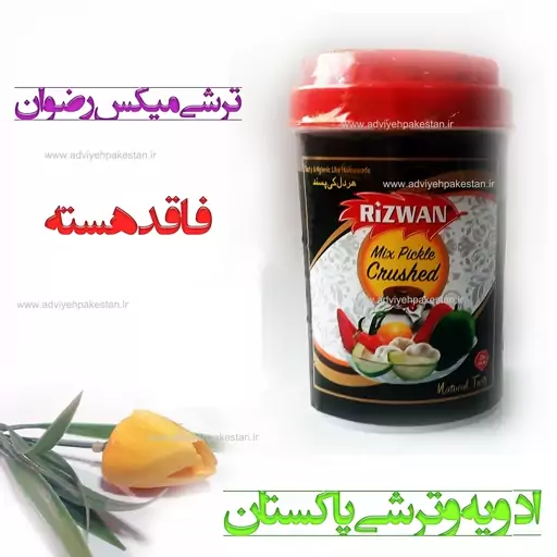 ترشی میکس(انبه مخلوط) نیم کیلوئی بدون هسته روغنی رضوان (REZWAN-RIZWAN) اورجینال پاکستان (وزن خالص ۴۰۰ گرم)